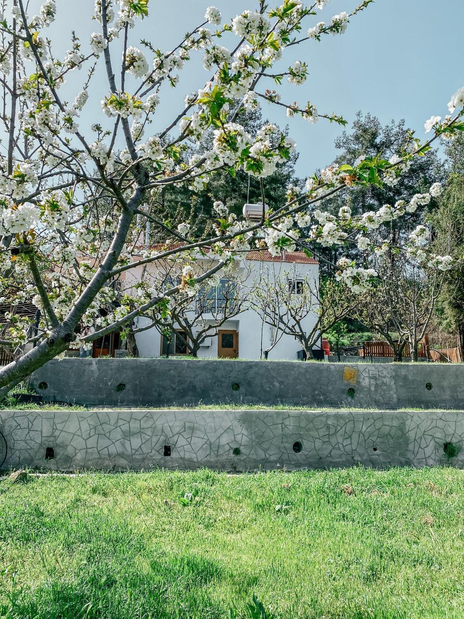 Milea Mansion Villa Limassol Eksteriør billede